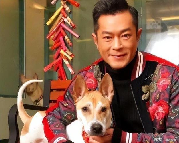 娱乐圈辈分_娱乐圈的辈分_内地娱乐圈辈分最大